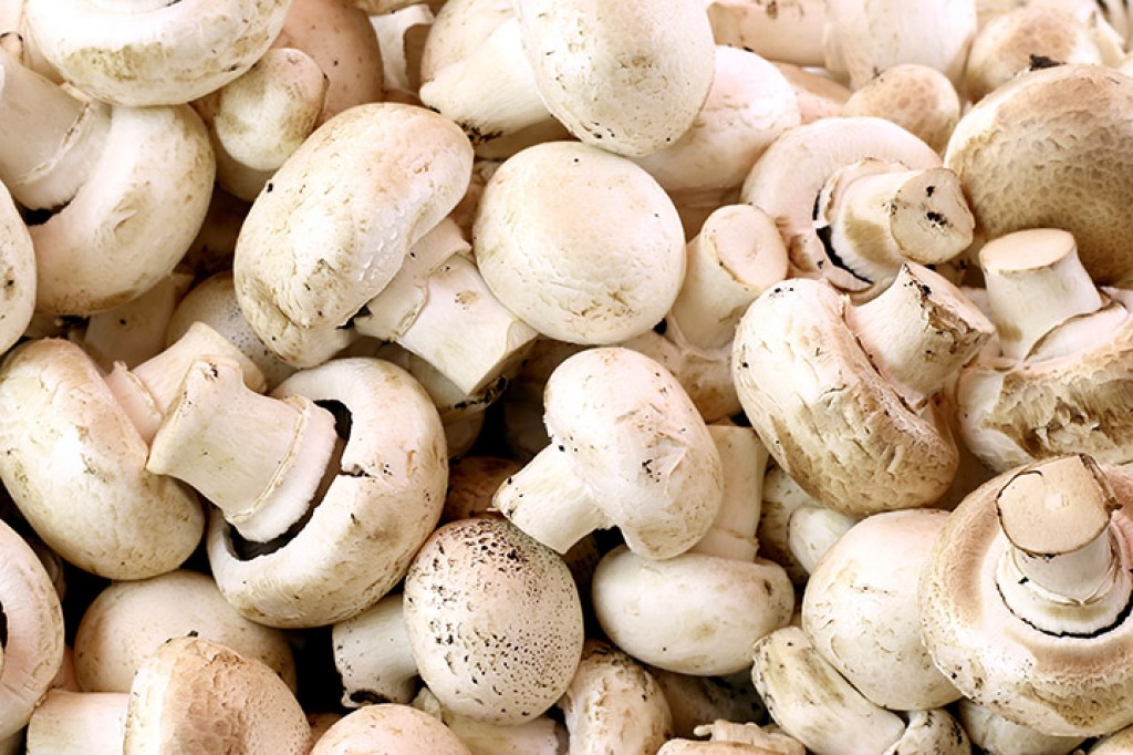 Button Mushrooms